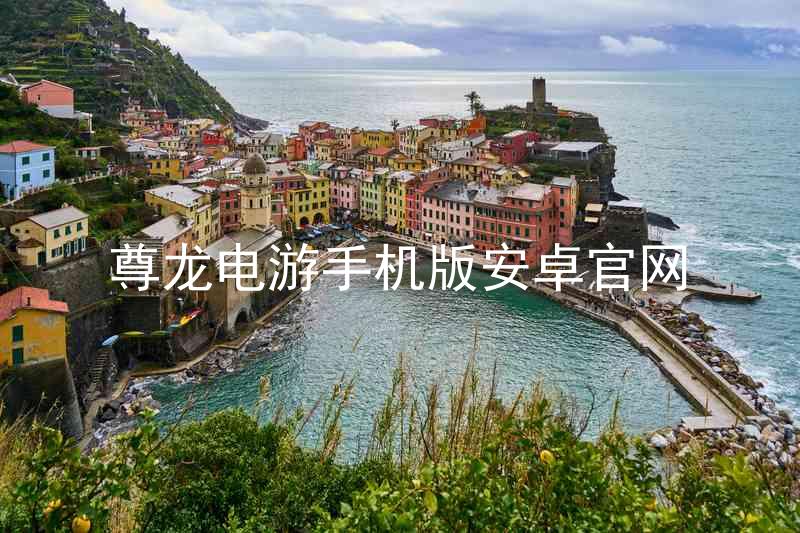 尊龙电游手机版安卓官网