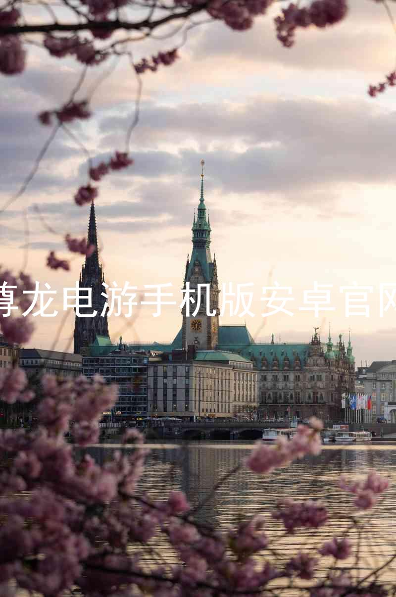 尊龙电游手机版安卓官网