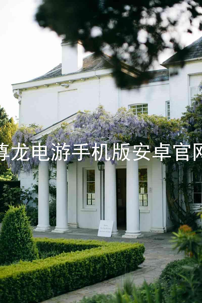 尊龙电游手机版安卓官网