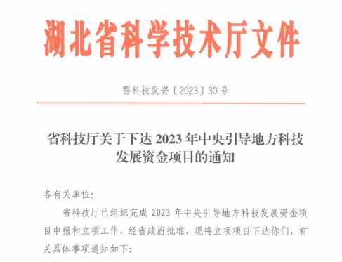 伟德体育官网 - 综合体育赛事平台|奥体中心相助同伴